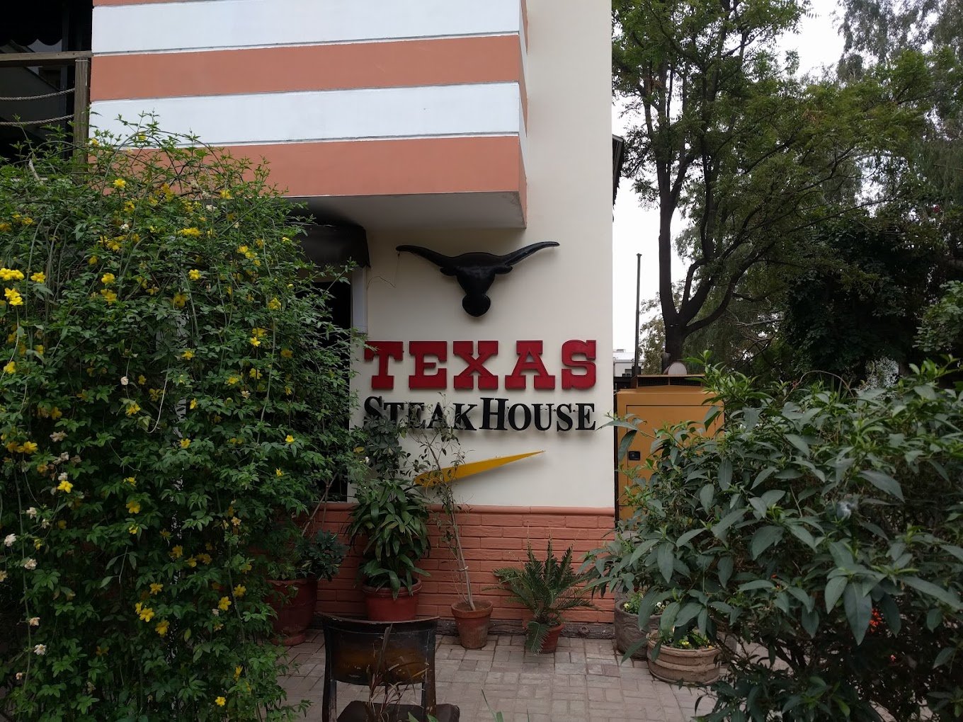 Texas Steak House