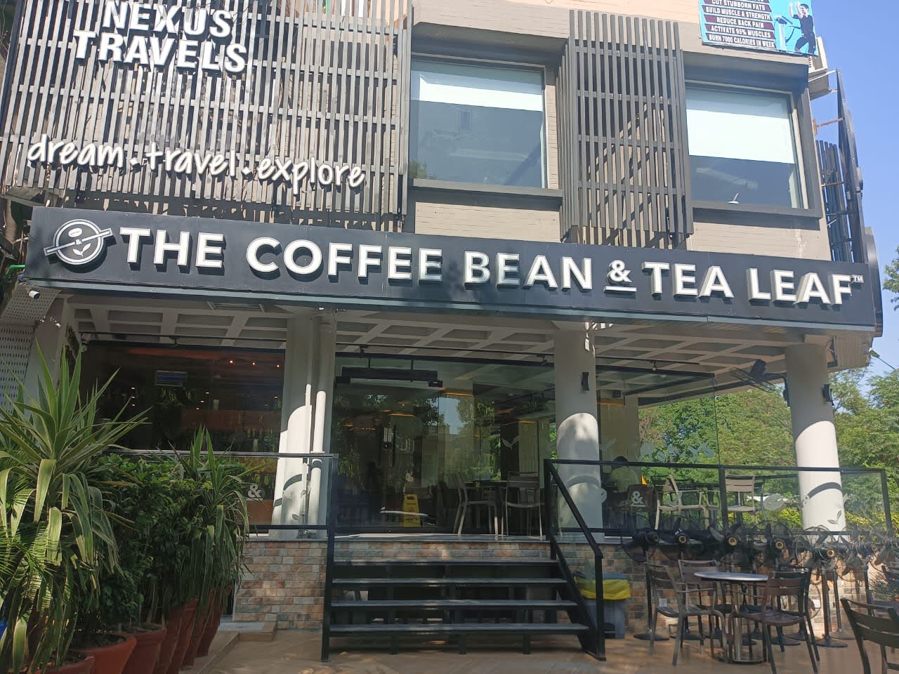 Coffee bean and teal leaf